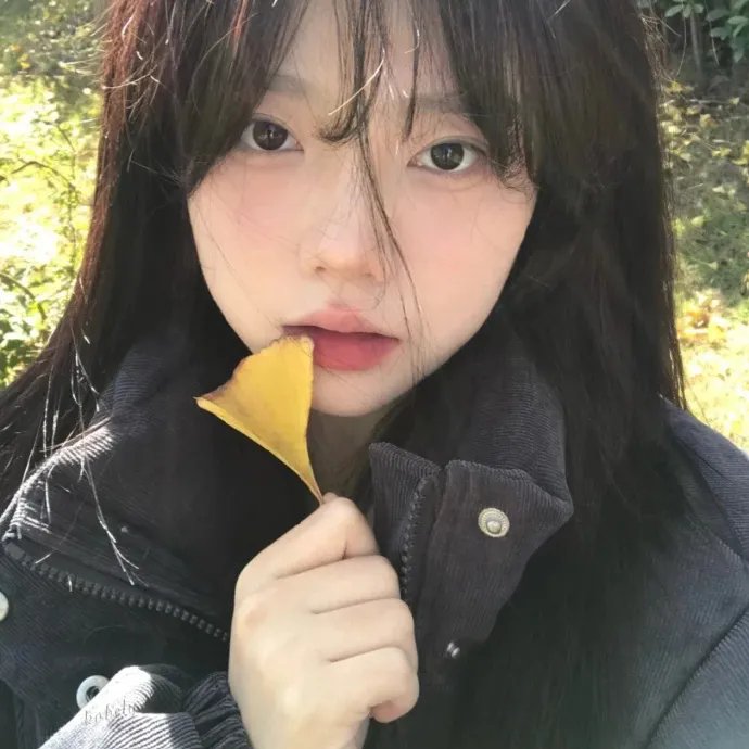 血染征途